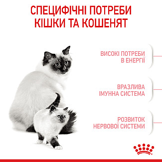Royal Canin MOTHER & BABYCAT сухой корм для котят в возрасте от 1 до 4 месяцев, а также для кошек в период беременности и лактации, 2 кг