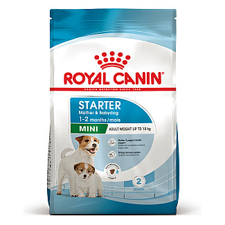 Сухий корм для собак Royal Canin Mini Starter малих порід в період вагітності та лактації, 1 кг