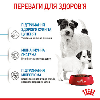 Сухий корм для собак Royal Canin Mini Starter малих порід в період вагітності та лактації, 1 кг