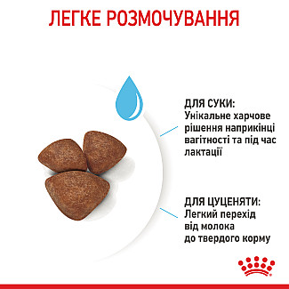 Сухий корм для собак Royal Canin Mini Starter малих порід в період вагітності та лактації, 1 кг