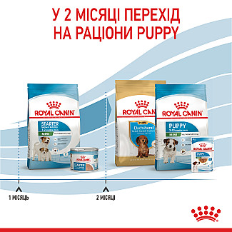 Сухий корм для собак Royal Canin Mini Starter малих порід в період вагітності та лактації, 1 кг