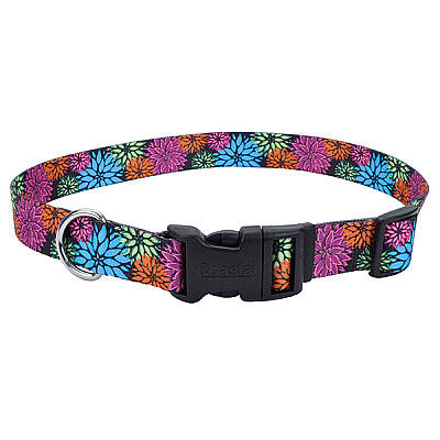 Coastal Pet Attire Style ошейник для собак, 1см/12-30см