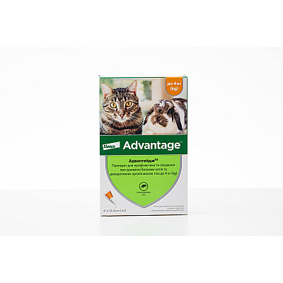 Bayer Advantage  від бліх та власоїдів для котів та кошенят
